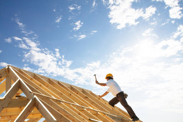 Best Roof Moss and Algae Removal  in Maple Heights Lake Desire, WA